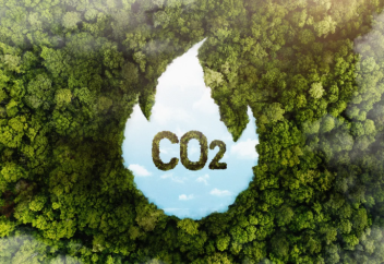 Астаналық ғалымдар ауаға тараған көмірқышқыл газын сіңіріп алатын ерекше батпақ ойлап тапты