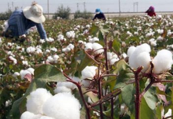 «Біреу өлмей, біреуге күн жоқ»...