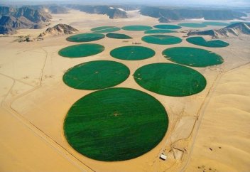Саудияның ауыл шаруашылығы (фото)