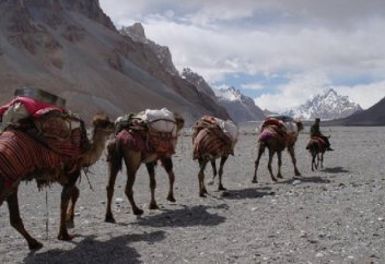 Оңтүстік азаматтарын солтүстікке тарту шарасы әзірленді