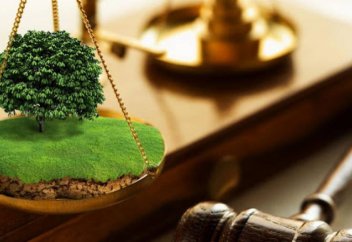 Купить или арендовать земельный участок стало возможным на портале egov.kz