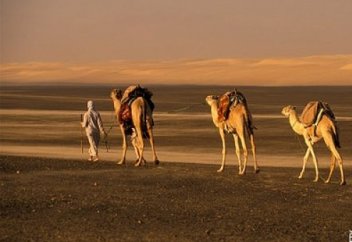 Өмірге құштарлық