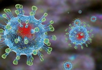 Респираторлық вирустардың осал тұсы табылды