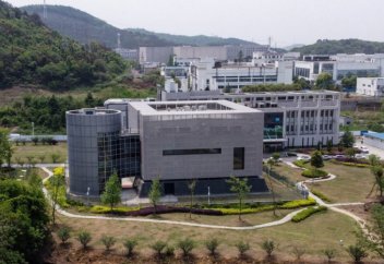 Вирусы, найденные Уханьской лабораторией, оказались лишь "вершиной айсберга"