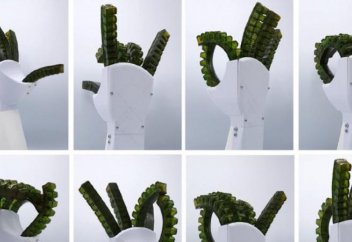 Ғалымдар ауруды сезінетін және өзін-өзі емдейтін жасанды қол ойлап тапты