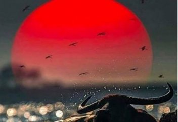 Діни және зайырлы білім туралы (Жұма уағызы)