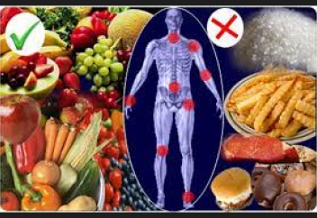 Весь мир питается неправильно — новое исследование ученых