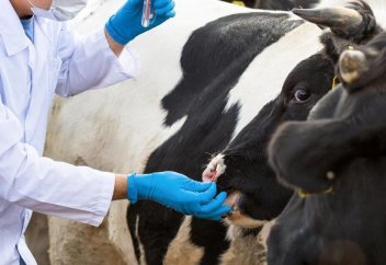 Қазақстанда жануарлардың аса қауіпті аурулар тізбесіне 68 ауру мен инфекция енгізілді