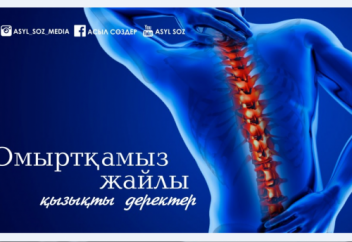 Омыртқа жайындағы қызықты деректер
