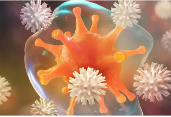 Как укрепить иммунитет? Посмотрите, как работает иммунная система!