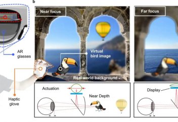 Өз салмағынан 800 есе ауыр салмақты көтере алатын бұлшық ет жасалды (видео)