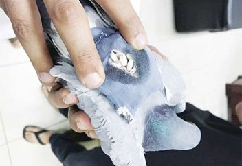 Есірткі тасымалдайтын кептер қолға түсті