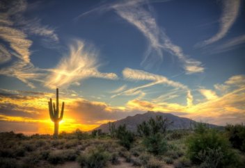 Жаһан: 35 мың мексикалық тұрғылықты жерін тастап көшуге мәжбүр (видео)