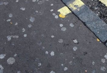 Сағыз өндірушілерді тротуарларды тазартуға міндеттеу ұсынылды