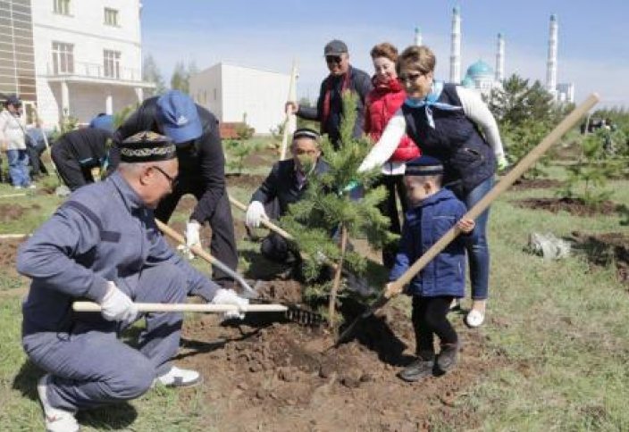 В Казахстане имамы посадили 23 772 дерева (фото)