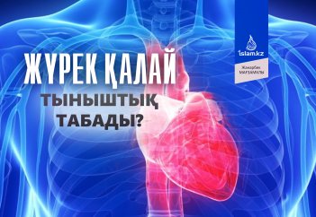 Жүрек қалай тыныштық табады?