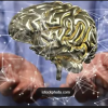 OpenAI компаниясы жетекшісінің ескертуі: жасанды зерде тарапынан төнетін екі қауіп қандай?