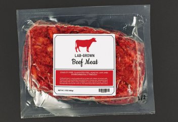 Етсіз ет. Неге дүкен сөрелерінде балама ақуыздар тұратын күн алыс емес?