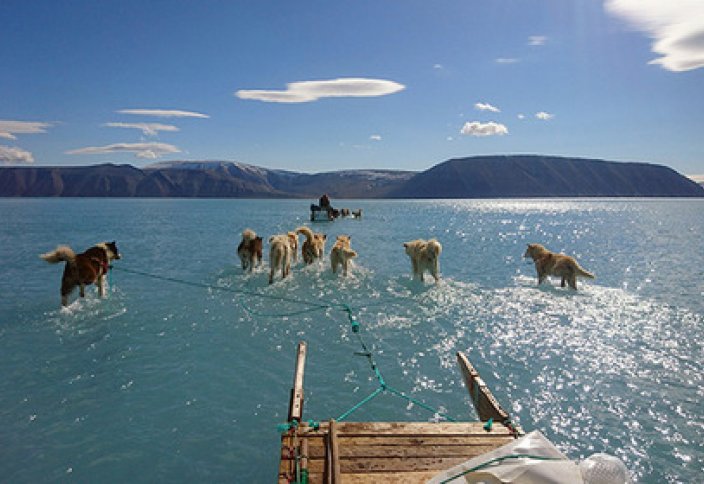 В Гренландии зафиксировали катастрофическое таяние льда