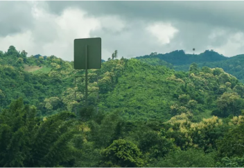 Электр энергиясын сымсыз тасымалдаудың жаңа тәсілі табылды