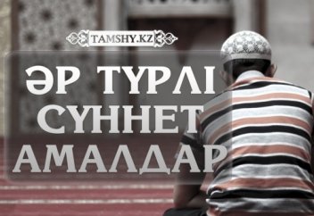 Күнделікті орындалатын 100 сүннеттік амал (6)