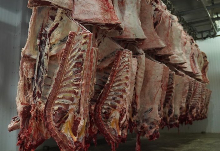 Еще 13 казахстанских компаний смогут экспортировать мясную продукцию в Саудовскую Аравию