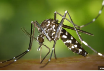 Масаға қатысты аса маңызды жаңалық ашылды