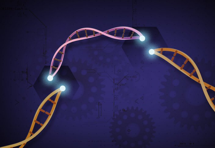 CRISPR/Cas9 технологиямен емдеудің басты қатері айтылды