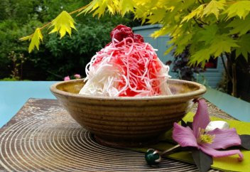 Балмұздақтың отаны – Иран (фото+видео)