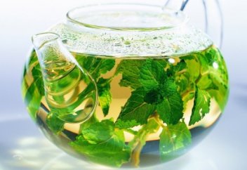 Жалбыз бауыр мен өт ауруын емдейді