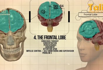 Құранда неге "өтірікші, күнәһар кекілден сүйрейміз" делінген? - Ғылыми талдау (Орыс тілінде)