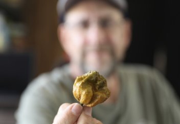 Америкалық бағбан әлемдегі ең ашшы бұрыш өсірді (видео)