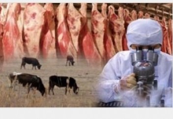 Сарып (бруцеллез) ауруы дер кезінде емделмесе, мүгедек ететін дерт