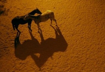 Frederic Francois Chopin (?) - Joie De Vivre