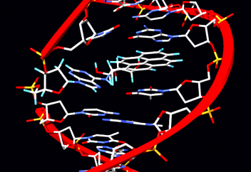 Какие бывают мутации и чем они отличаются. Глобальная мутация человечества