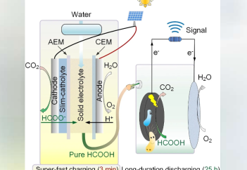 Құмырсқа қышқылынан су тазартатын биогибридті батарея жасалды