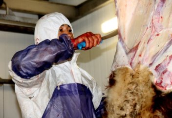 «Жұма күні мал союға болмайды» деген сөз естідім, сол дінде бар ма?