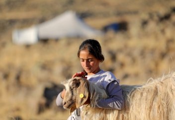 Юрюки – современные кочевники Турции. Кашкайцы – тюрки-кочевники Ирана (фото)