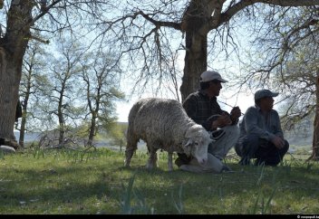 О дүниелік ата-анамның атынан құрбандық шалуыма бола ма? Ниеті қалай?