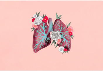 Как легкие превращают кислород в углекислый газ