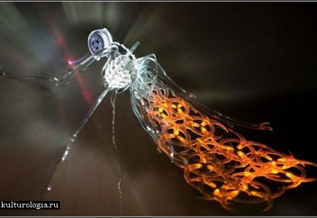 Жыл сайын безгектен 400 мың адам өліп, 200 млн адам жұқтырады