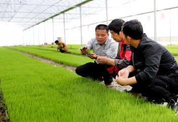 Қытай кедейлікті ғылымның және технологияның көмегімен жеңді