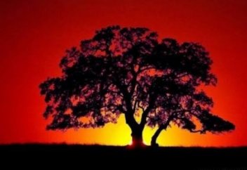 Алып ағаш (астарлы ертегі)