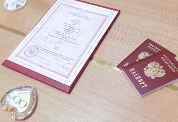 Ресейліктермен отбасын құрған шетелдіктер үшін «сынақ мерзімі» енгізіледі