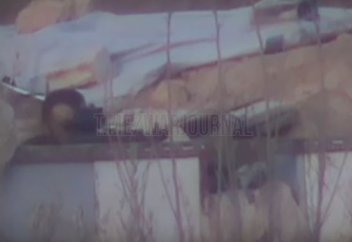 Cнайпер мен содырлар мергені арасындағы жекпе-жек (видео)