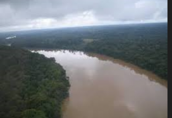 Тұтас бір елдің өзендері цианидпен және сынаппен ластанды