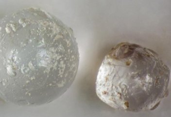 Обнаружены признаки неизвестной глобальной катастрофы