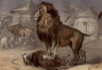 Өмір дегеніміз қырқыс, күрес пе?