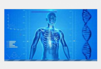 Интересные факты о человеческом организме