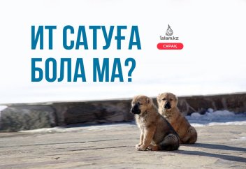 Ит сатуға бола ма?